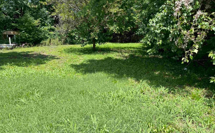 Pictures of Land property located at 108 E Hogan, Sedalia, MO 65301 for sales - image #1