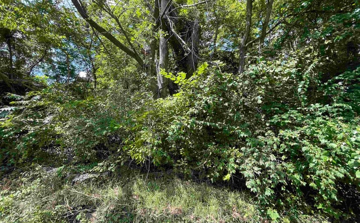 Pictures of Land property located at 600 W Henry, Sedalia, MO 65301 for sales - image #1