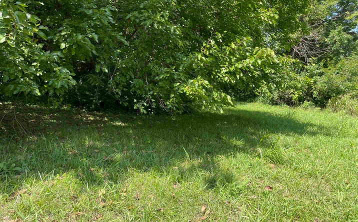 Pictures of Land property located at 313 E Morgan, Sedalia, MO 65301 for sales - image #1