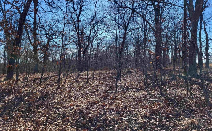 Pictures of Land property located at Anne, Edwards, MO 65326 for sales - image #1