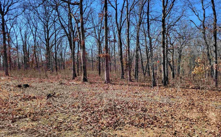 Pictures of Land property located at Anne, Edwards, MO 65326 for sales - image #1