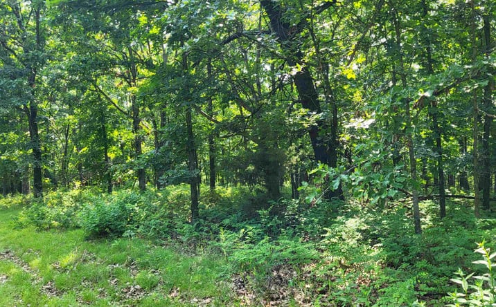 Pictures of Land property located at Rolfs, Edwards, MO 65326 for sales - image #1