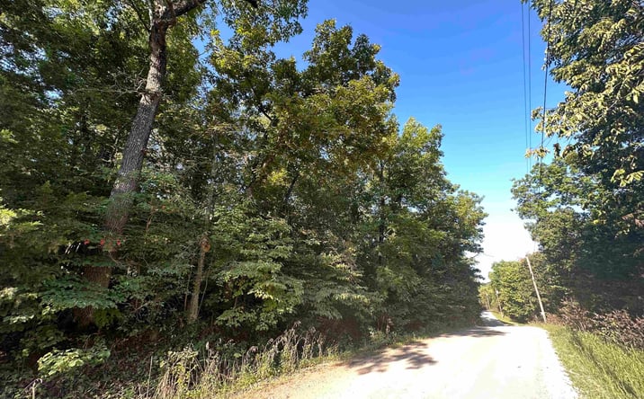Pictures of Land property located at Lots 119-121 California, Edwards, MO 65326 for sales - image #1
