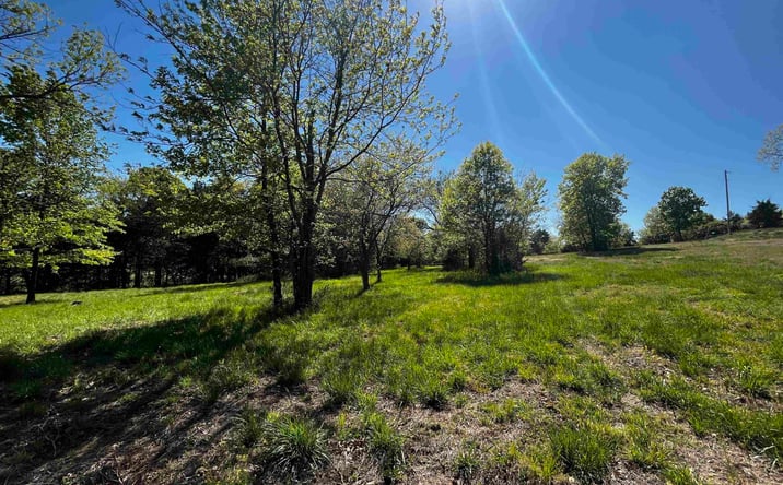Pictures of Land property located at TBD Carmen Acres, Warsaw, MO 65355 for sales - image #1
