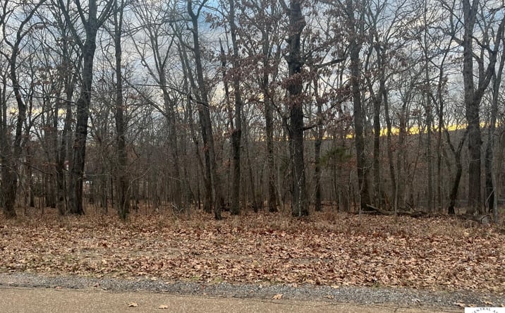 Pictures of Land property located at TBD Escapade, Warsaw, MO 65355 for sales - image #1