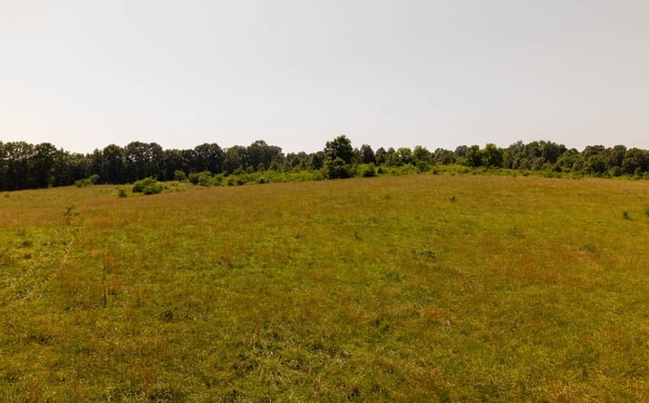 Pictures of Land property located at 804 Banks Rd, Hardy, AR 72542 for sales - image #1