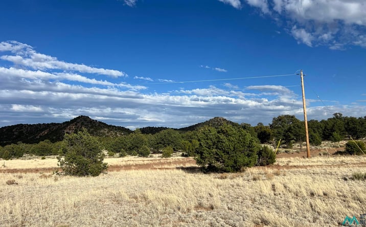 Pictures of Land property located at Pinon Ridge Rd Road, Pie Town, NM 87827 for sales - image #1
