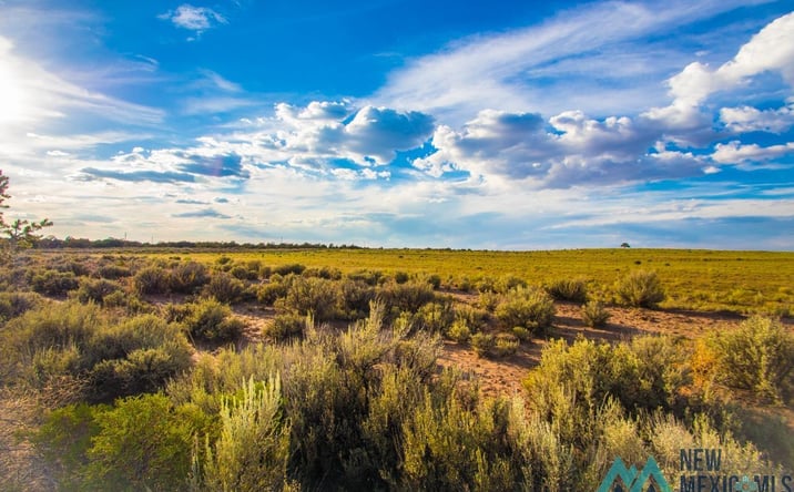 Pictures of Land property located at Lot 20 Jones Ranch Avenue, Vanderwagen, NM 87326 for sales - image #1