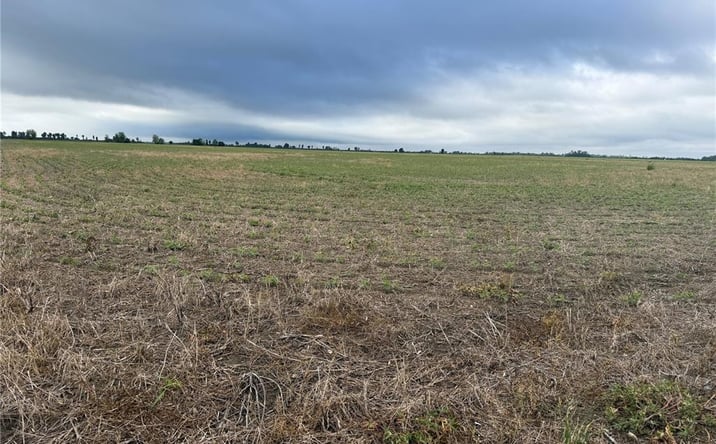Pictures of Land property located at 0 County Road 406, Pascola, MO 63851 for sales - image #1