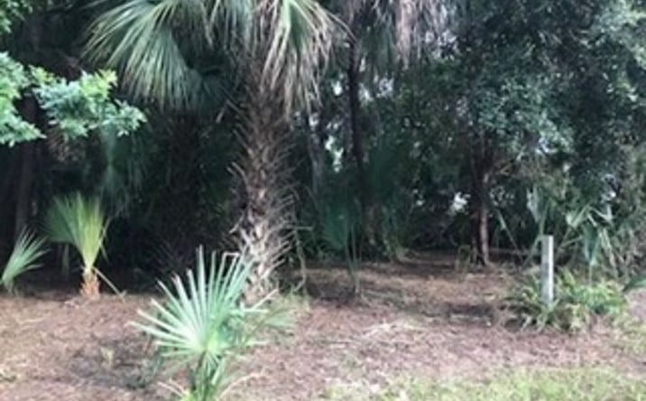 Pictures of Land property located at Guava St, Hudson, FL 34667 for sales - image #1