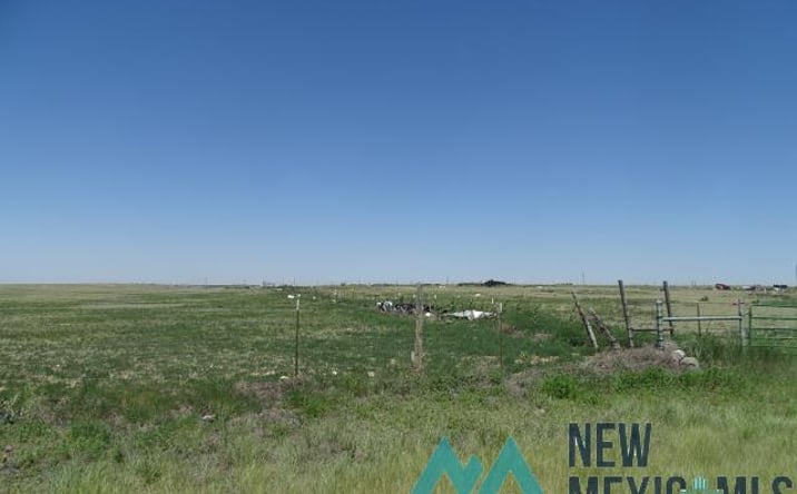 Pictures of Land property located at Nm Highway 402, Clayton, NM 88415 for sales - image #1