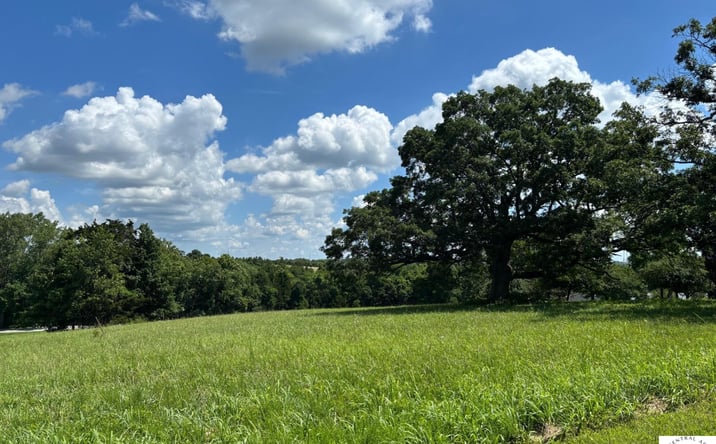 Pictures of Land property located at Lots 50 Glenn, Warsaw, MO 65355 for sales - image #1