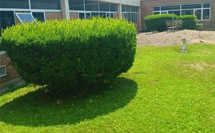 Pictures of Business for Sale property located at 25 1st St, Camillus, NY 13031 for sales - image #1
