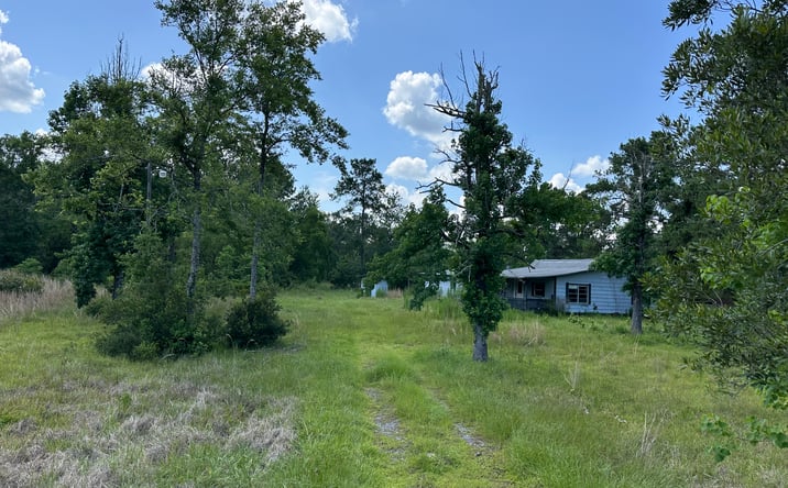 Pictures of Land property located at 2736 Whitetail Forest Road,, Kountze,, TX 77625 for sales - image #1