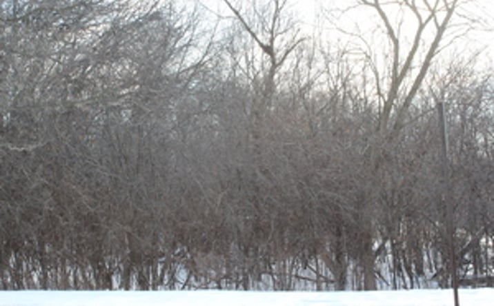 Pictures of Land, Multifamily property located at 930 N Fairfield Road, Round Lake Beach, IL 60073 for sales - image #1
