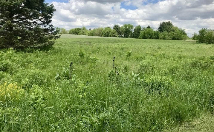 Pictures of Land, Office, Retail property located at 0 Lot 2 Ratfield Road, Marengo, IL 60152 for sales - image #1