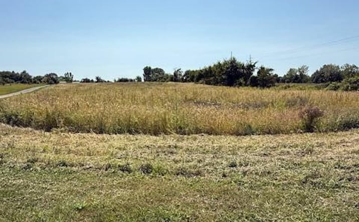 Pictures of Land property located at 3684 Township Road 59, Mount Gilead, OH 43338 for sales - image #1