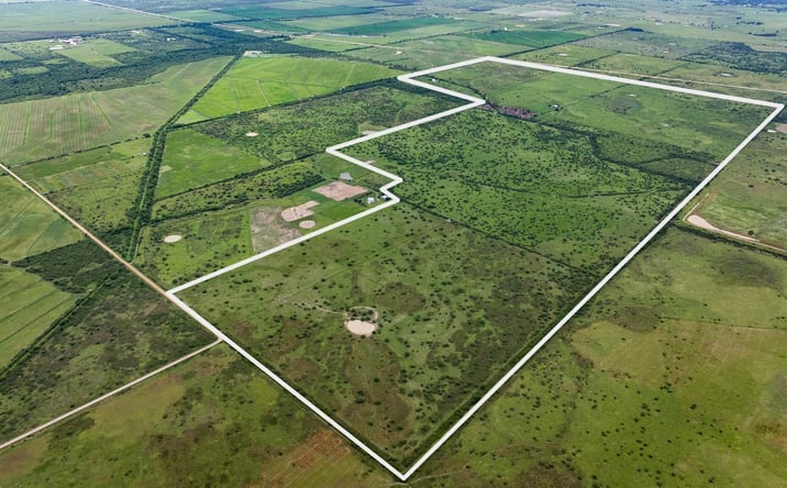 Pictures of Land property located at TBD Rice Rd, Cat Spring, TX 78933 for sales - image #1