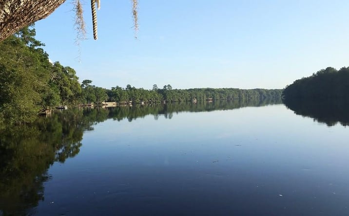 Pictures of Land property located at 53 NE 904th St, Old Town, FL 32680 for sales - image #1