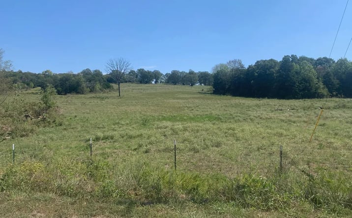 Pictures of Land property located at Lot 7 off Rail Hollow Ranch, Theodosia, MO 65761 for sales - image #1