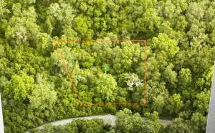 Pictures of Land property located at 6761 E Dogwood Hammock Dr, Inverness, FL 34453 for sales - image #1