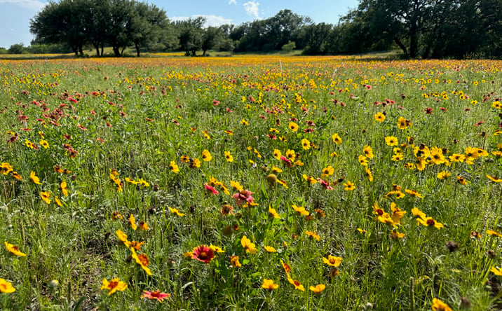 Pictures of Land property located at 463 Feather Bay Dr, Brownwood, TX 76801 for sales - image #1