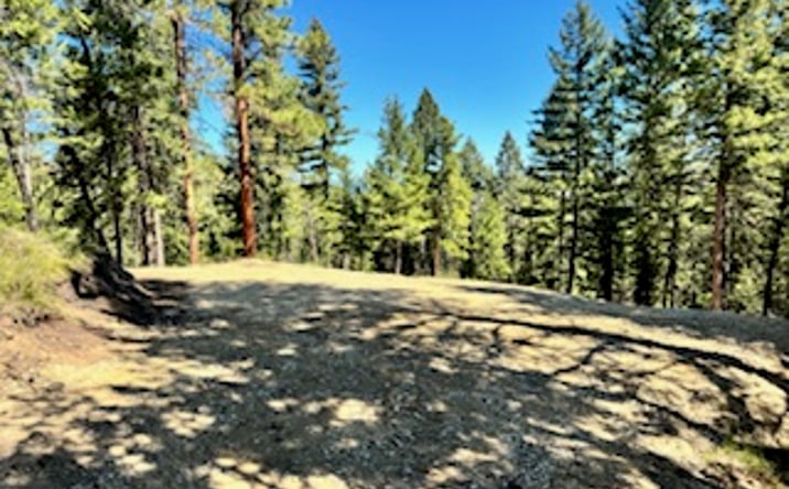 Pictures of Land property located at 1798 Rocky Top Road, Hamilton, MT 59840 for sales - image #1