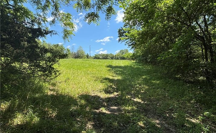 Pictures of Land, Special Purpose property located at Lot 1155 Lake Viking Terrace, Gallatin, MO 64640 for sales - image #1