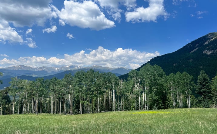 Pictures of Land property located at Evergreen, Colorado, Evergreen, CO 80439 for sales - image #1