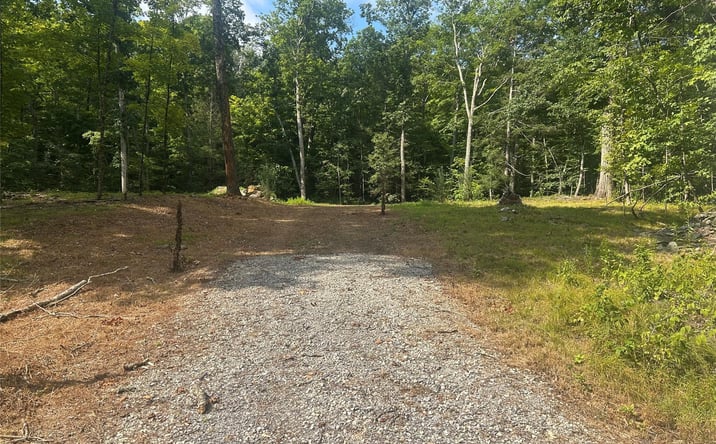 Pictures of Land property located at 80 Forever Ivy Lane, Clinton, NY 12538 for sales - image #1