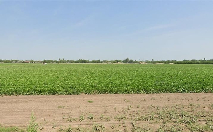 Pictures of Land property located at 0 Nolana Loop, Alamo, TX 78516 for sales - image #1