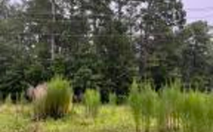 Pictures of Land property located at Tbd Varden Drive Drive, Aiken, SC 29803 for sales - image #1