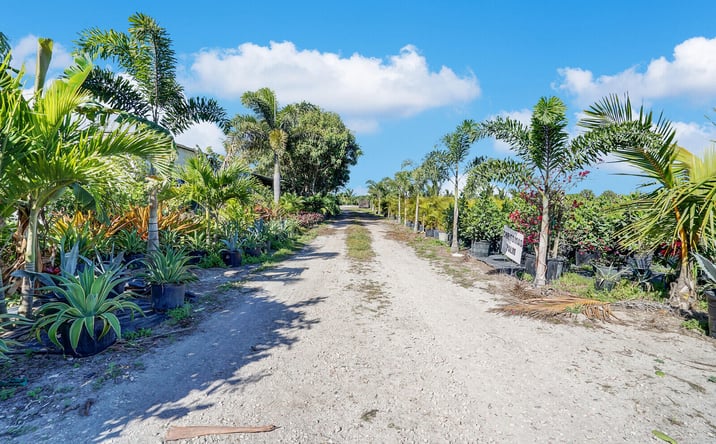 Pictures of Land property located at 6747 Carol Street, Loxahatchee, FL 33470 for sales - image #1