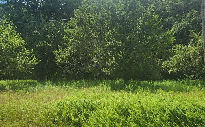 Pictures of Land property located at ** Creamery Road, Bethel, NY 12720 for sales - image #1