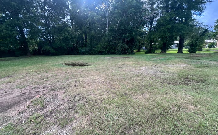 Pictures of Land property located at 105 Watlington St, Center, TX 75935 for sales - image #1