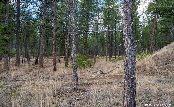 Pictures of Land property located at Lot 56 Dropping Draw North Star Landing, Eureka, MT 59917 for sales - image #1