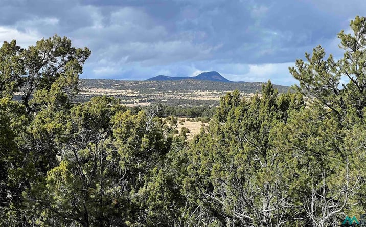 Pictures of Land property located at Mountain View Road, Pie Town, NM 87827 for sales - image #1
