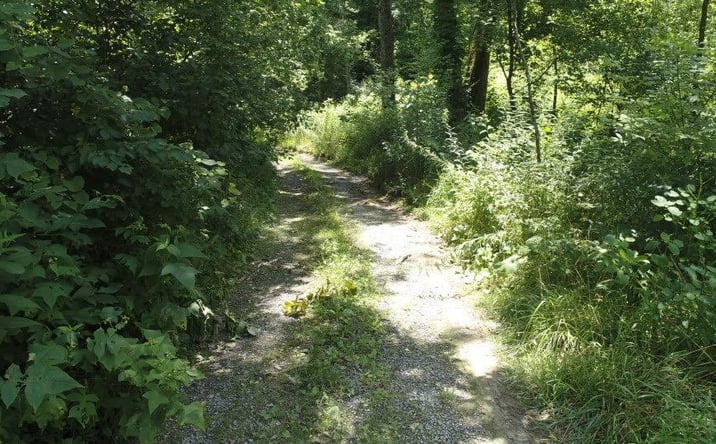 Pictures of Land, Multifamily property located at TBD Pocahontas Trail, Glade Spring, VA 24340 for sales - image #1