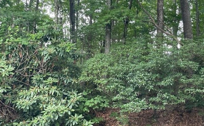 Pictures of Land, Multifamily property located at TBD Dogwood Trail, Hillsville, VA 24343 for sales - image #1