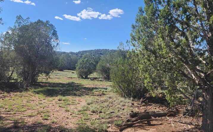 Pictures of Land property located at 150 Off Ten Tanks, Ash Fork, AZ 86320 for sales - image #1