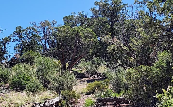 Pictures of Land, Multifamily property located at Lot 363 Big View Trail, Ash Fork, AZ 86320 for sales - image #1