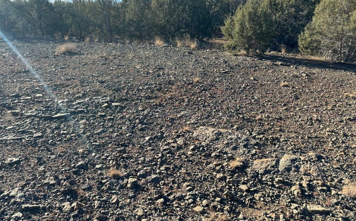 Pictures of Land, Multifamily property located at 3255 W Gary Circle, Williams, AZ 86046 for sales - image #1