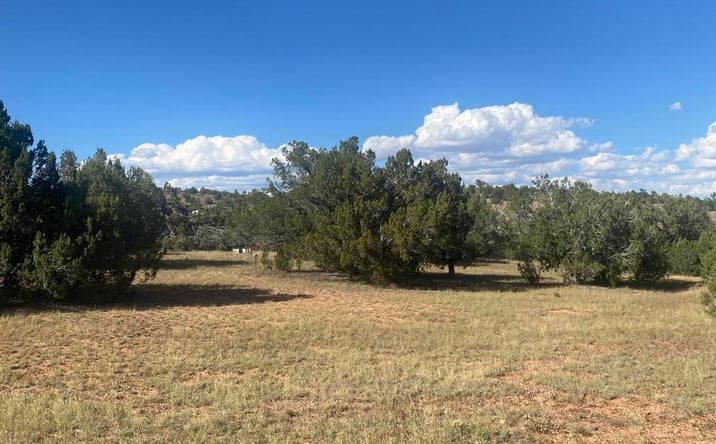 Pictures of Land property located at 34720 W La Plancha Parkway, Seligman, AZ 86337 for sales - image #1