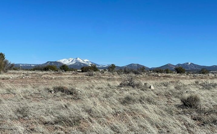 Pictures of Land, Multifamily property located at 461a S Big Bear Road, Williams, AZ 86046 for sales - image #1