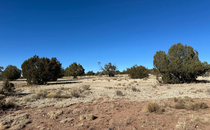 Pictures of Land, Multifamily property located at 932 SW Thirsty Burro, Seligman, AZ 86337 for sales - image #1
