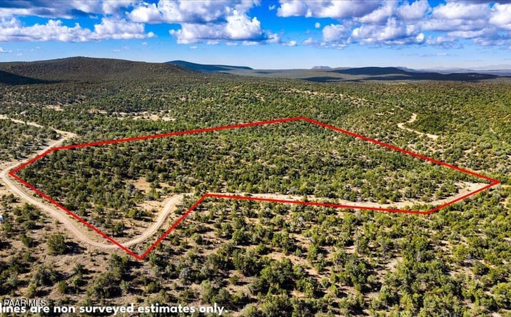 Pictures of Land, Multifamily property located at 1399 N Thunder Ridge Ranch Road, Seligman, AZ 86337 for sales - image #1