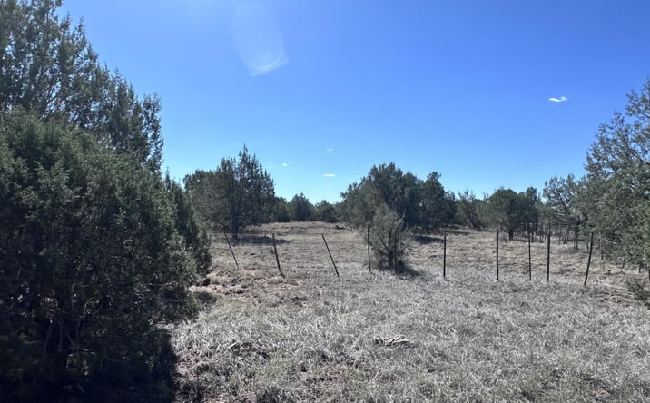 Pictures of Land, Multifamily property located at 202 W Hillcrest Drive, Williams, AZ 86046 for sales - image #1