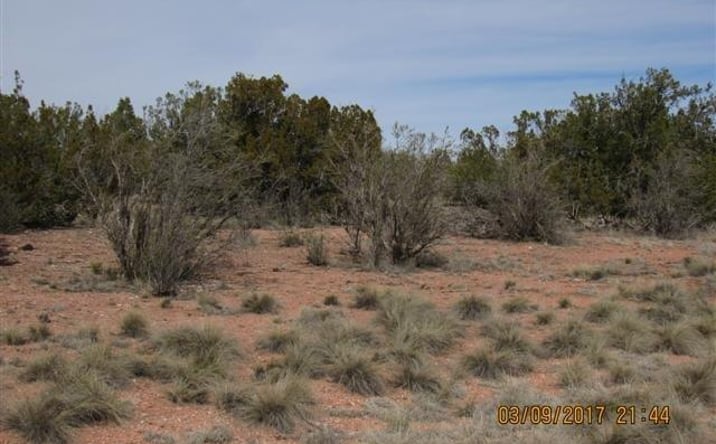 Pictures of Land property located at 55899 N Val Vista Road, Seligman, AZ 86337 for sales - image #1