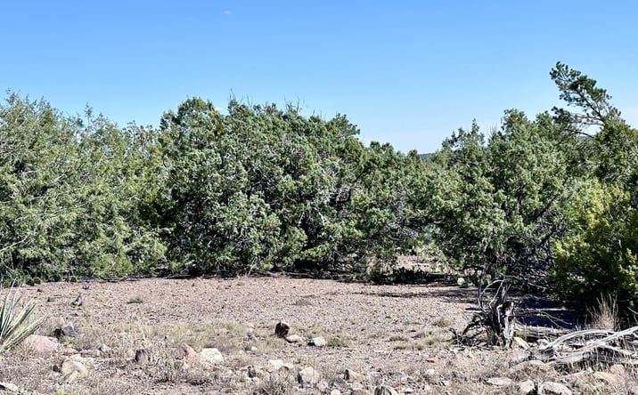 Pictures of Land, Multifamily property located at Lot 1173 N Wonderland Way, Seligman, AZ 86337 for sales - image #1