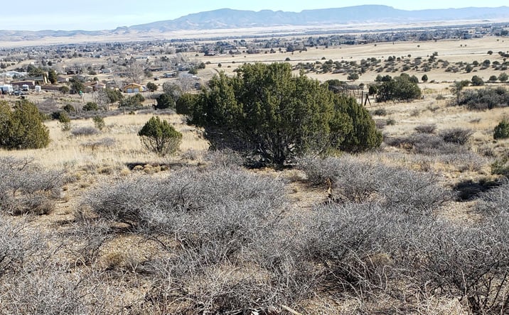 Pictures of Land, Multifamily property located at Lot 507 Smoki Trail, Chino Valley, AZ 86323 for sales - image #1